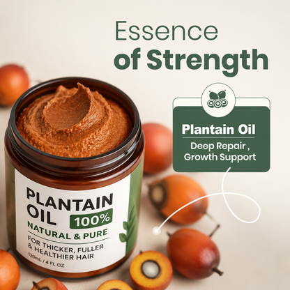 PLANTAIN Natural Hair Growth Oil