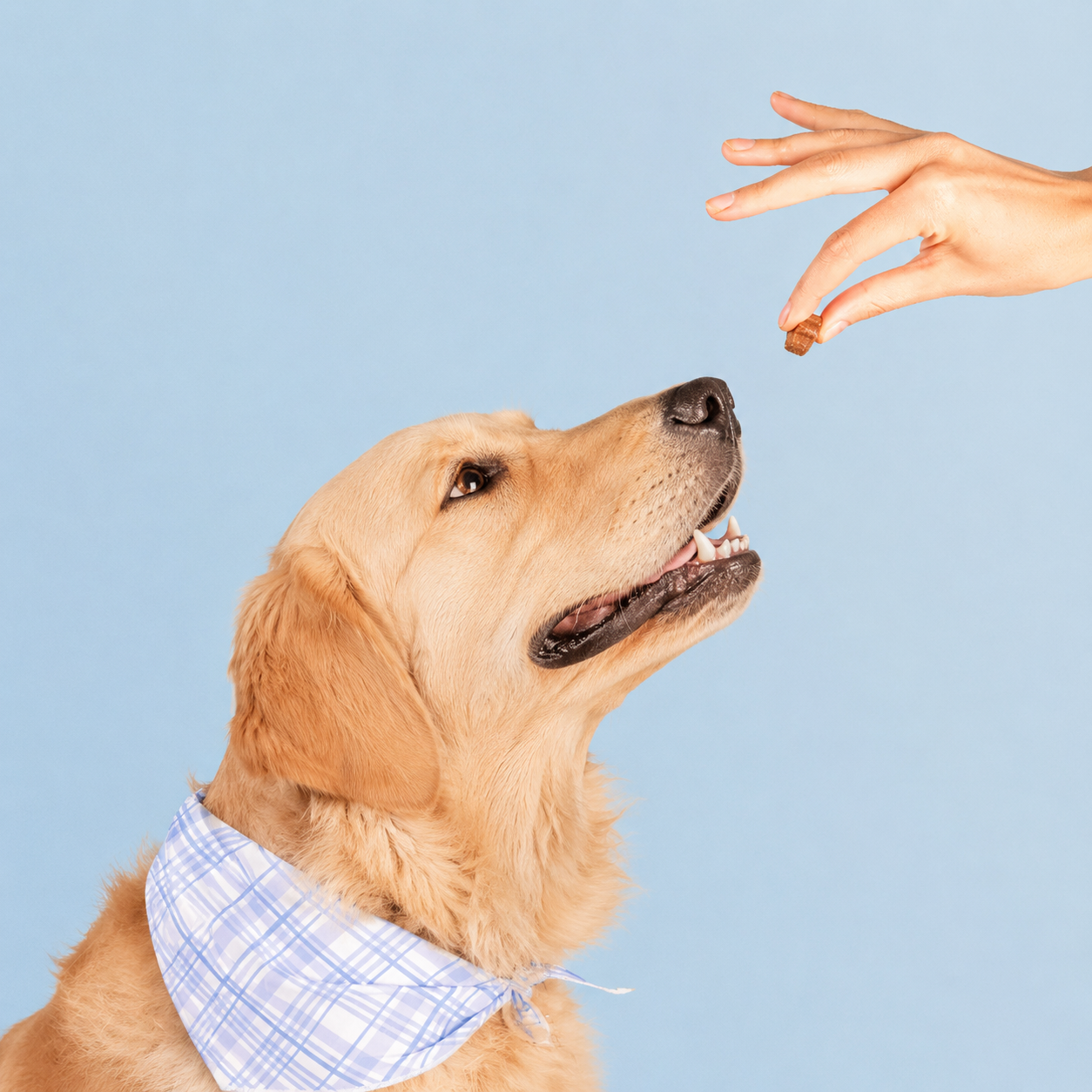 Dryscent®Daily Multivitamins for Pets