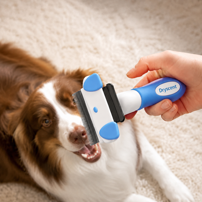 Less Shedding. Less Cleanup. More Cuddle Time.